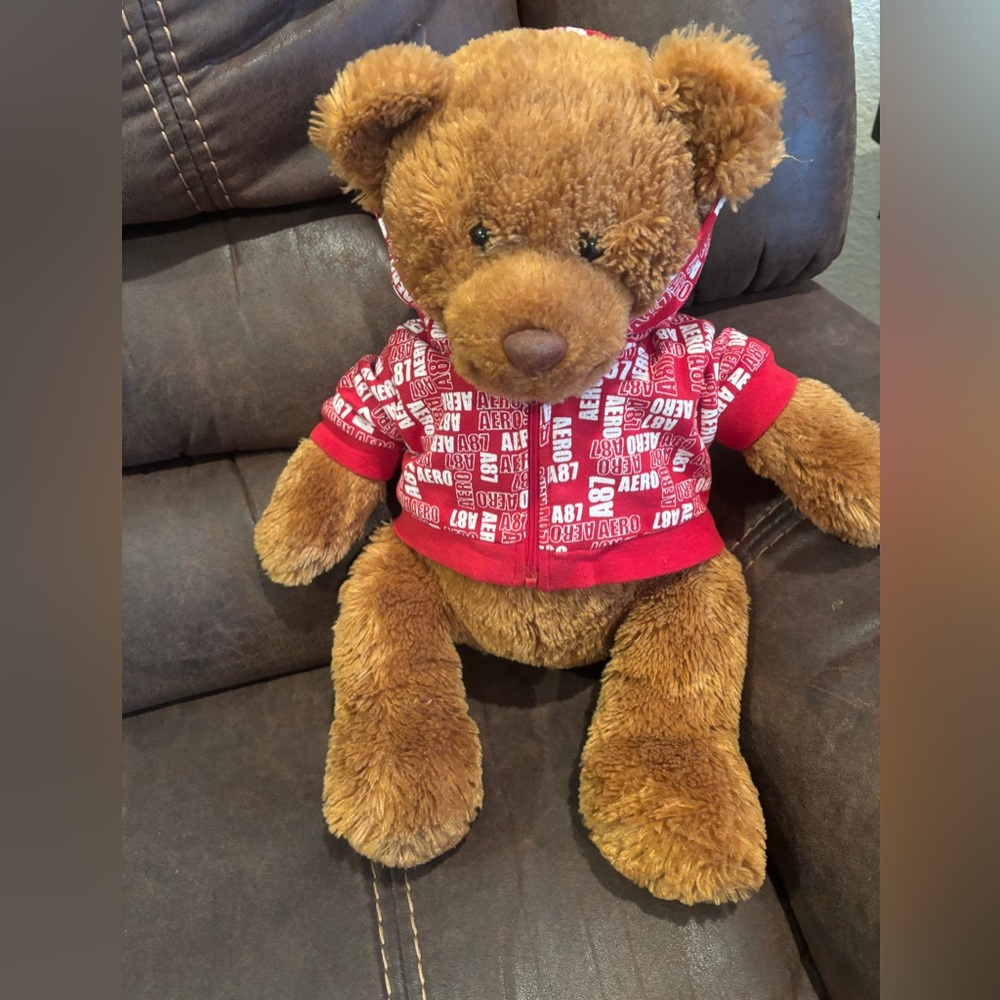2007‎ Aeropostale 16 inch Bear with Red Hoodie